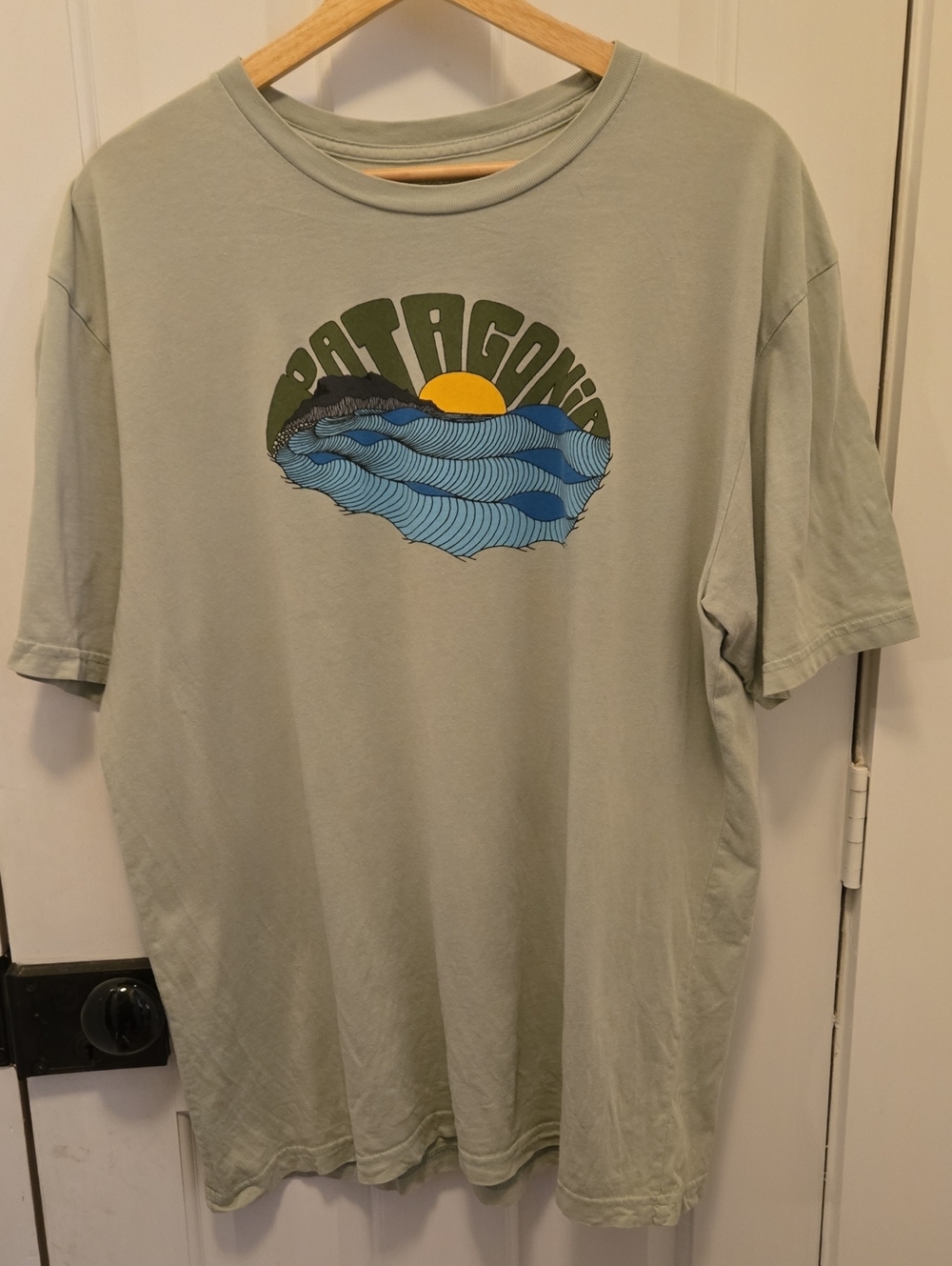 Patagonia Sage Green Short-Sleeve Tee with Blue Wave Graphic Large